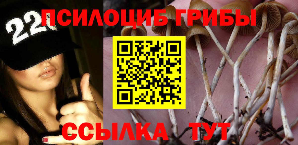 Спасск-Дальний  Галлюциногенные грибы Psilocybine cubensis  Вход с VPN 